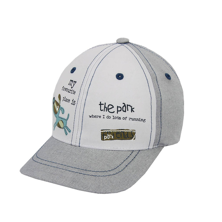 Dreng baseball kasket, efterår/forår, grå, bomuld, Dog